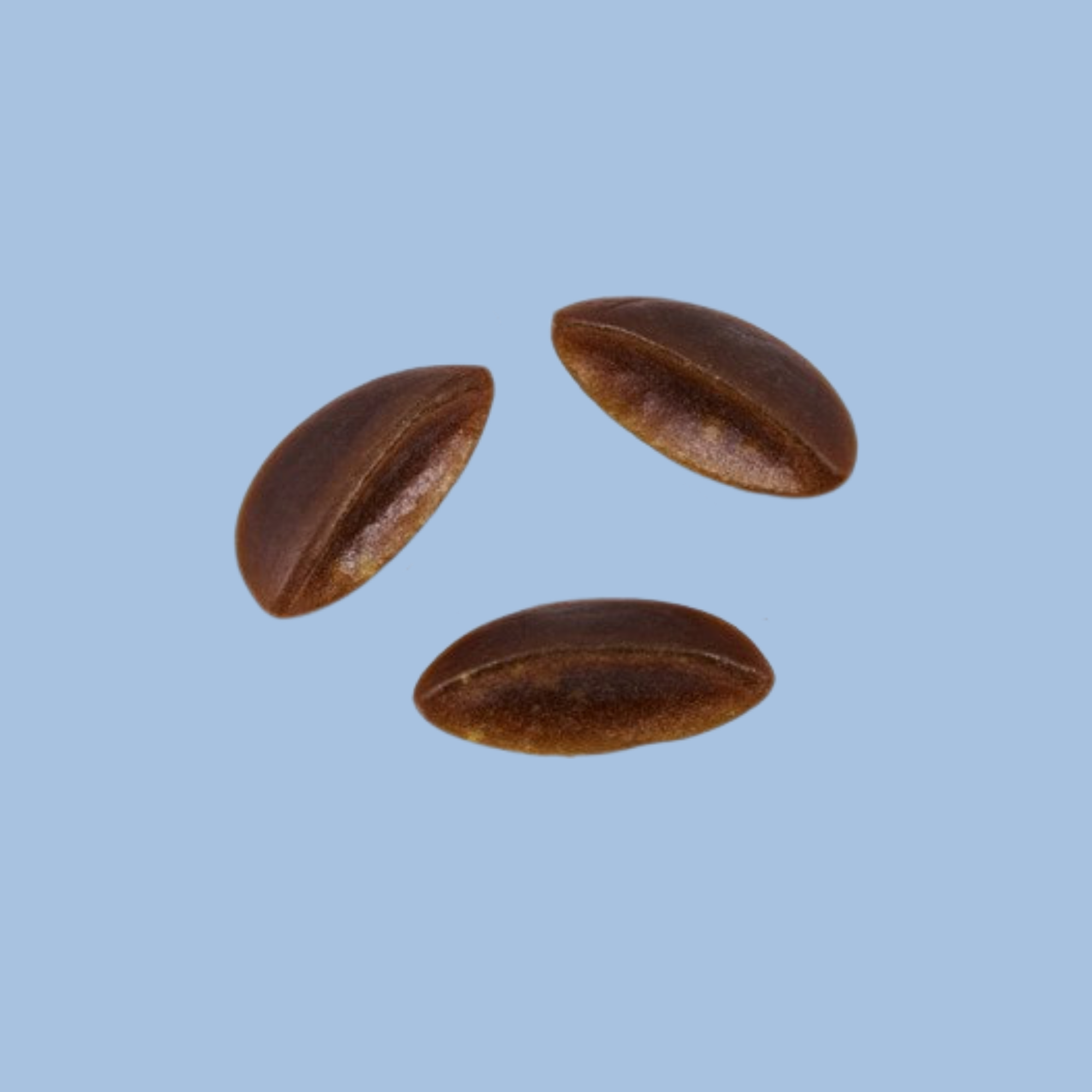 Aroma Cola Boats Individual