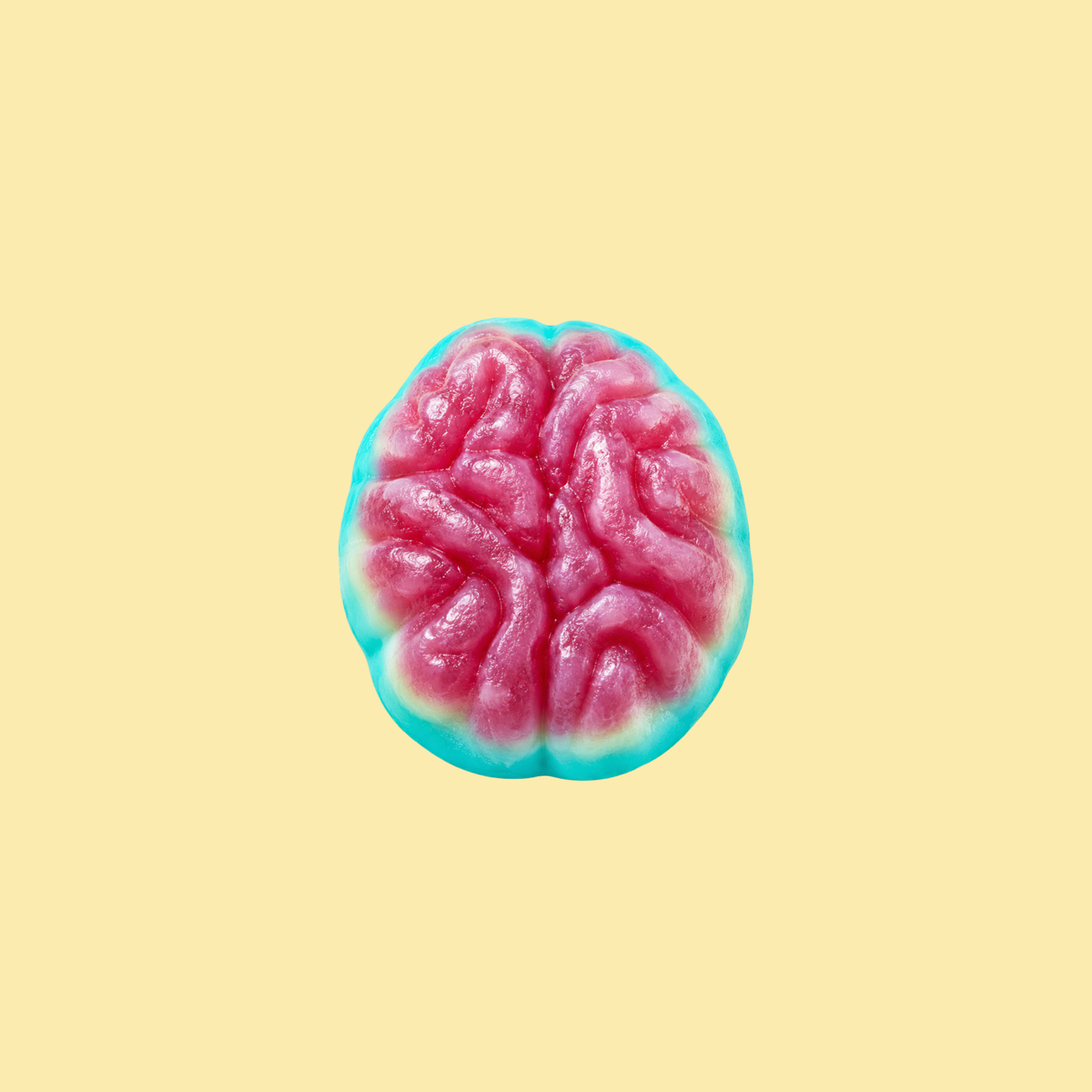 Jelly Brains