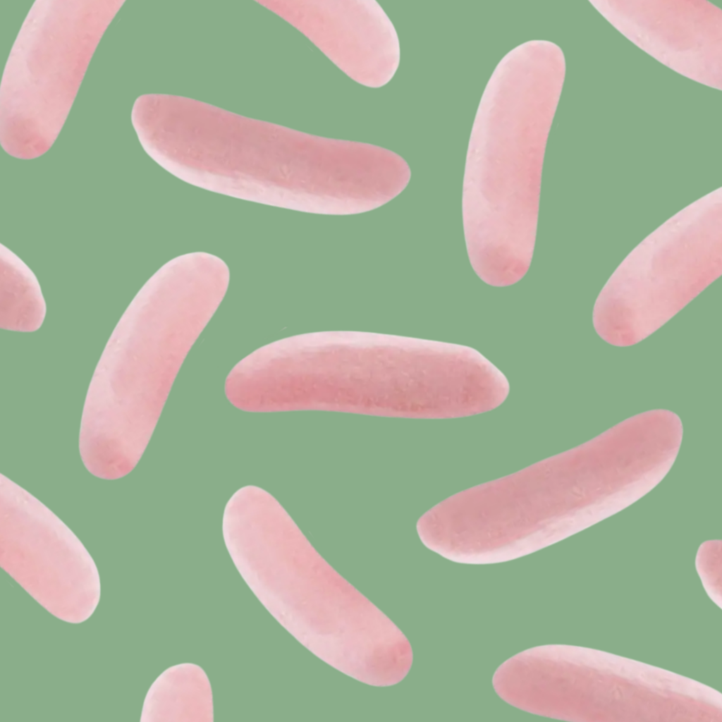 Three strawberry banana aroma on a green background pattern